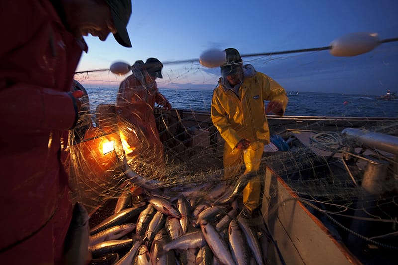 Bristol Bay, Alaska 4